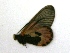  ( - IRIC-A1326)  @12 [ ] Unspecified (default): All Rights Reserved  Unspecified Unspecified