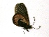  ( - IRIC-A1327)  @12 [ ] Unspecified (default): All Rights Reserved  Unspecified Unspecified