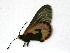  ( - IRIC-A1328)  @12 [ ] Unspecified (default): All Rights Reserved  Unspecified Unspecified