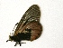  ( - IRIC-A1329)  @12 [ ] Unspecified (default): All Rights Reserved  Unspecified Unspecified