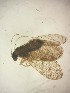  ( - HEM_16)  @11 [ ] Unspecified (default): All Rights Reserved  Unspecified Unspecified