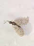  ( - HEM_54)  @11 [ ] Unspecified (default): All Rights Reserved  Unspecified Unspecified