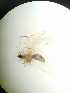  ( - HEM_70)  @11 [ ] Unspecified (default): All Rights Reserved  Unspecified Unspecified