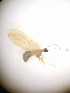  ( - HEM_71)  @11 [ ] Unspecified (default): All Rights Reserved  Unspecified Unspecified