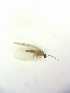  ( - HEM_82)  @11 [ ] Unspecified (default): All Rights Reserved  Unspecified Unspecified