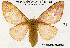  ( - LK-0020)  @12 [ ] Copyright (2012) Rodolphe Rougerie University of Rouen