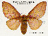  ( - LK-0005)  @12 [ ] Copyright (2012) Rodolphe Rougerie University of Rouen