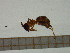  ( - BC-MTP-00094)  @12 [ ] CreativeCommons - Attribution Non-Commercial Share-Alike (2016) T. Decaëns University of Montpellier