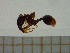  ( - BC-MTP-00020)  @12 [ ] CreativeCommons - Attribution Non-Commercial Share-Alike (2016) T. Decaëns University of Montpellier