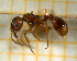  ( - BC-MTP-00101)  @13 [ ] CreativeCommons - Attribution Non-Commercial Share-Alike (2017) Rumsaïs Blatrix CEFE Lab
