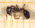  ( - BC-MTP-00164)  @12 [ ] CreativeCommons - Attribution Non-Commercial Share-Alike (2017) Rumsaïs Blatrix CEFE Lab