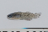  ( - RB12-A067)  @12 [ ] CreativeCommons - Attribution Non-Commercial Share-Alike (2012) SAIAB SAIAB