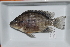  ( - RB12-A326)  @13 [ ] CreativeCommons - Attribution Non-Commercial Share-Alike (2012) SAIAB SAIAB