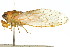  ( - 11ANIC-16638)  @14 [ ] CreativeCommons - Attribution (2011) ANIC/CBG Photography Group Centre for Biodiversity Genomics