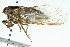  ( - 11ANIC-16647)  @11 [ ] CreativeCommons - Attribution (2011) ANIC/CBG Photography Group Centre for Biodiversity Genomics