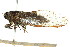  ( - 11ANIC-16659)  @14 [ ] CreativeCommons - Attribution (2011) ANIC/CBG Photography Group Centre for Biodiversity Genomics