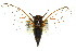  ( - 11ANIC-16684)  @11 [ ] CreativeCommons - Attribution (2011) ANIC/CBG Photography Group Centre for Biodiversity Genomics