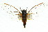  ( - 11ANIC-16708)  @11 [ ] CreativeCommons - Attribution (2011) ANIC/CBG Photography Group Centre for Biodiversity Genomics