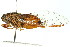  ( - 11ANIC-16479)  @11 [ ] CreativeCommons - Attribution (2011) ANIC/CBG Photography Group Centre for Biodiversity Genomics