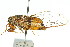 ( - 11ANIC-16482)  @11 [ ] CreativeCommons - Attribution (2011) ANIC/CBG Photography Group Centre for Biodiversity Genomics