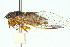  ( - 11ANIC-16507)  @11 [ ] CreativeCommons - Attribution (2011) ANIC/CBG Photography Group Centre for Biodiversity Genomics