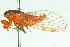  ( - 11ANIC-16539)  @11 [ ] CreativeCommons - Attribution (2011) ANIC/CBG Photography Group Centre for Biodiversity Genomics