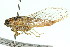  ( - 11ANIC-16744)  @11 [ ] CreativeCommons - Attribution (2011) ANIC/CBG Photography Group Centre for Biodiversity Genomics