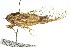  ( - 11ANIC-16774)  @11 [ ] CreativeCommons - Attribution (2011) ANIC/CBG Photography Group Centre for Biodiversity Genomics