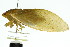  ( - 11ANIC-16992)  @11 [ ] CreativeCommons - Attribution (2011) ANIC/CBG Photography Group Centre for Biodiversity Genomics