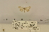  ( - ANHRTUK-00049641)  @11 [ ] CreativeCommons - Attribution Share-Alike (2020) Unspecified African Natural History Research Trust collection, Kingsland, UK
