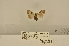  ( - ANHRTUK-00059682)  @11 [ ] CreativeCommons - Attribution Share-Alike (2020) Unspecified African Natural History Research Trust collection, Kingsland, UK