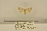  ( - ANHRTUK-00074026)  @11 [ ] CreativeCommons - Attribution Share-Alike (2020) Unspecified African Natural History Research Trust collection, Kingsland, UK