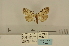  ( - ANHRTUK-00105134)  @11 [ ] CreativeCommons - Attribution Share-Alike (2020) Unspecified African Natural History Research Trust collection, Kingsland, UK