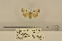  ( - ANHRTUK-00145322)  @11 [ ] CreativeCommons - Attribution Share-Alike (2020) Unspecified African Natural History Research Trust collection, Kingsland, UK
