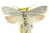  ( - CCDB-15722-E12)  @11 [ ] CreativeCommons - Attribution (2011) ANIC/CBG Photography Group Centre for Biodiversity Genomics