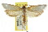  ( - CCDB-15722-H04)  @11 [ ] CreativeCommons - Attribution (2011) ANIC/CBG Photography Group Centre for Biodiversity Genomics