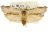  ( - CCDB-15725-D11)  @11 [ ] CreativeCommons - Attribution (2011) ANIC/CBG Photography Group Centre for Biodiversity Genomics