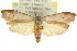  ( - CCDB-15725-F08)  @11 [ ] CreativeCommons - Attribution (2011) ANIC/CBG Photography Group Centre for Biodiversity Genomics