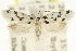  ( - CCDB-15729-B07)  @11 [ ] CreativeCommons - Attribution (2011) ANIC/CBG Photography Group Centre for Biodiversity Genomics