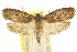  ( - CCDB-15730-H02)  @11 [ ] CreativeCommons - Attribution (2011) ANIC/CBG Photography Group Centre for Biodiversity Genomics