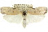  ( - CCDB-15733-E02)  @11 [ ] CreativeCommons - Attribution (2011) ANIC/CBG Photography Group Centre for Biodiversity Genomics