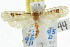  ( - CCDB-15733-F06)  @11 [ ] CreativeCommons - Attribution (2011) ANIC/CBG Photography Group Centre for Biodiversity Genomics