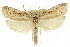  ( - CCDB-15733-G06)  @13 [ ] CreativeCommons - Attribution (2011) ANIC/CBG Photography Group Centre for Biodiversity Genomics