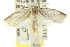 ( - CCDB-15734-A04)  @11 [ ] CreativeCommons - Attribution (2011) ANIC/CBG Photography Group Centre for Biodiversity Genomics