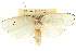  ( - CCDB-15736-A03)  @11 [ ] CreativeCommons - Attribution (2011) ANIC/CBG Photography Group Centre for Biodiversity Genomics