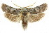  ( - CCDB-15736-G04)  @14 [ ] CreativeCommons - Attribution (2011) ANIC/CBG Photography Group Centre for Biodiversity Genomics