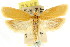  ( - CCDB-15739-H04)  @14 [ ] CreativeCommons - Attribution (2011) ANIC/CBG Photography Group Centre for Biodiversity Genomics