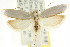  ( - CCDB-15739-H11)  @14 [ ] CreativeCommons - Attribution (2011) ANIC/CBG Photography Group Centre for Biodiversity Genomics