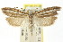  ( - CCDB-15740-E04)  @11 [ ] CreativeCommons - Attribution (2011) ANIC/CBG Photography Group Centre for Biodiversity Genomics