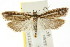  ( - CCDB-15740-E12)  @11 [ ] CreativeCommons - Attribution (2011) ANIC/CBG Photography Group Centre for Biodiversity Genomics